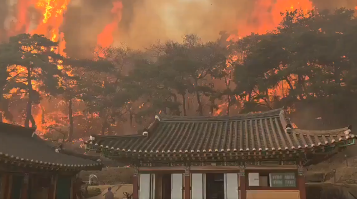 South Korea Forest Fire